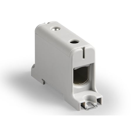 Molex